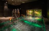 Туры в отель Super Hotel Premier Ginza