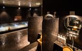 Туры в отель Super Hotel Premier Ginza