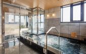 Туры в отель APA Hotel Shinagawa Sengakuji-Ekimae