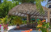 Туры в отель Arrival Beach and Spa