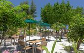 Туры в отель Arrival Beach and Spa