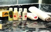 Туры в отель Center Inn Hotel Maltepe Istanbul