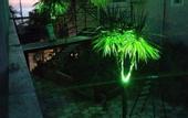 Туры в отель Anchor Villa