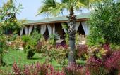 Туры в отель Flora Garden Beach