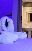 Туры в отель New Midtown Hotel