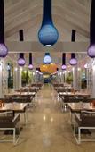 Туры в отель Paradisus Grand Cana - All Suites