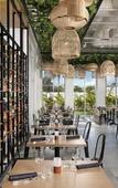 Туры в отель Paradisus Grand Cana - All Suites