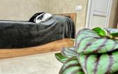 Туры в отель Южный вайб Линария