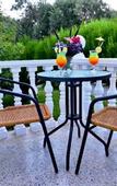 Туры в отель The Ship Inn Hotel