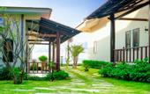 Туры в отель Blooming Lotus Resort