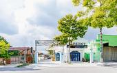 Туры в отель Super OYO 598 Peony Hotel