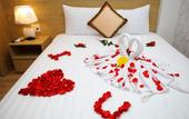 Туры в отель Hang Nga 1 Hotel