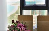 Туры в отель Gold Ocean Nha Trang