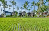 Туры в отель Jungle Flower Villas