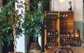 Туры в отель Intourist Kazbegi