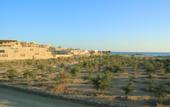 Туры в отель Wadi Sabarah Lodge