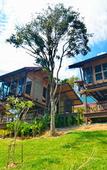 Туры в отель Alama Sea Village Resort