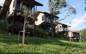 Туры в отель Alama Sea Village Resort