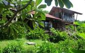 Туры в отель Alama Sea Village Resort