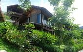 Туры в отель Alama Sea Village Resort