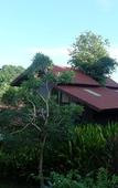 Туры в отель Alama Sea Village Resort