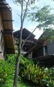 Туры в отель Alama Sea Village Resort