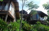Туры в отель Alama Sea Village Resort