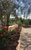 Туры в отель Lacitrus Villa Hotel