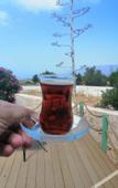 Туры в отель Lacitrus Villa Hotel
