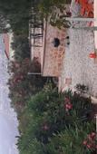 Туры в отель Lacitrus Villa Hotel