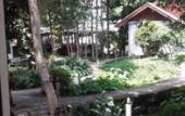 Туры в отель Tubtim Resort