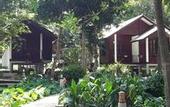 Туры в отель Tubtim Resort