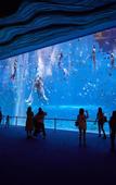 Туры в отель Hyatt Regency Hainan Ocean Paradise Resort