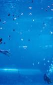 Туры в отель Hyatt Regency Hainan Ocean Paradise Resort