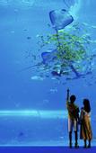 Туры в отель Hyatt Regency Hainan Ocean Paradise Resort