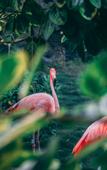 Туры в отель Hyatt Regency Hainan Ocean Paradise Resort