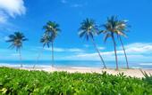 Туры в отель Bliss Hotel Phu Quoc