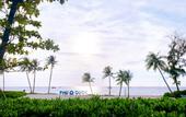 Туры в отель Bliss Hotel Phu Quoc