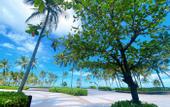 Туры в отель Bliss Hotel Phu Quoc