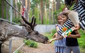 Туры в отель Чкаловские дачи