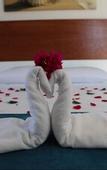 Туры в отель Mina Apart Hotel