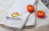 Туры в отель Erdem City Hotel