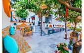 Туры в отель Sardunya Andifli Otel