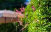 Туры в отель Peace Blue Naiharn Naturist Resort Phuket