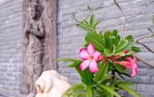 Туры в отель Phaithong Sotel Resort
