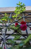 Туры в отель Hotel 212 Olympos