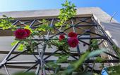 Туры в отель Hotel 212 Olympos