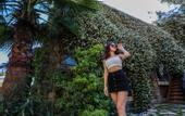 Туры в отель Hotel 212 Olympos