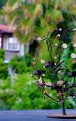 Туры в отель Hotel 212 Olympos