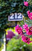 Туры в отель Hotel 212 Olympos